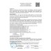 Пистолет пневматический BORNER TT-M Blowback, кал. 4, 5 мм